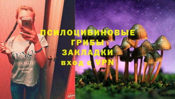 ешки Абдулино